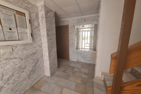 Apartament w Torrevieja, Alicante, Hiszpania 1 sypialnia, 39 mkw. nr 149192 – zdjęcie 17