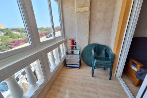 Apartament w Torrevieja, Alicante, Hiszpania 1 sypialnia, 39 mkw. nr 149192 – zdjęcie 15