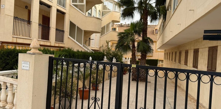 Apartment à La Regia, Alicante, Espagne 2 chambres, 57 m2 No. 184460
