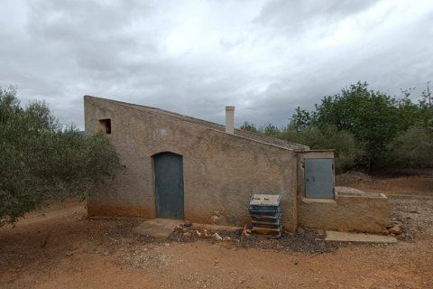 Terreno a L'Ampolla, Tarragona, Spagna 26283 mq. N° 185700
