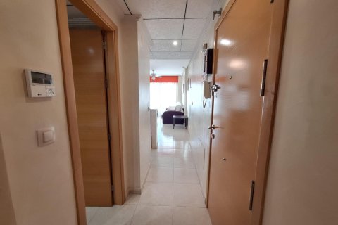 Apartamento en alquiler en Torrevieja, Alicante, España 1 dormitorio, 43 m2 No. 146715 - foto 6