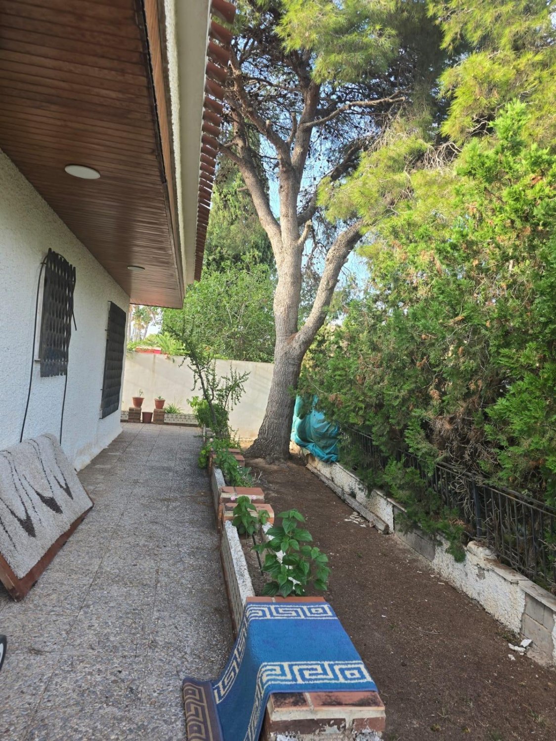 Villa Dehesa De Campoamor, Alicante, Spānijā 7 istabas, 230 m2 Nr. 139455