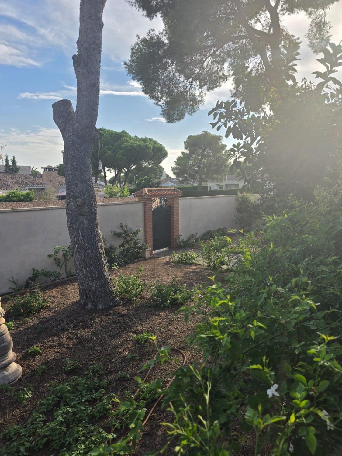 Villa Dehesa De Campoamor, Alicante, Spānijā 7 istabas, 230 m2 Nr. 139455