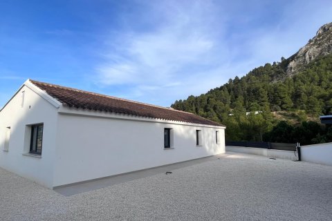 Apartamento en venta en Penaguila, Alicante, España 3 dormitorios, 292 m2 No. 193003 - foto 25