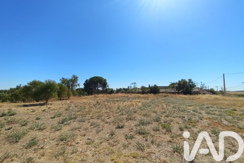 Продажа земельного участка в Рибатежада, Мадрид, Испания 7464м2 №184696 - фото 5