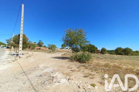 Продажа земельного участка в Рибатежада, Мадрид, Испания 7464м2 №184696 - фото 2