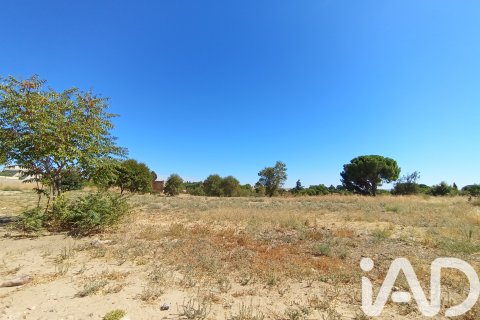 Продажа земельного участка в Рибатежада, Мадрид, Испания 7464м2 №184696 - фото 6
