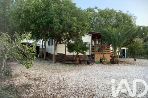 Land plot à vendre à Elche, Alicante, Espagne, 750 m2 No. 184693 - photo 6