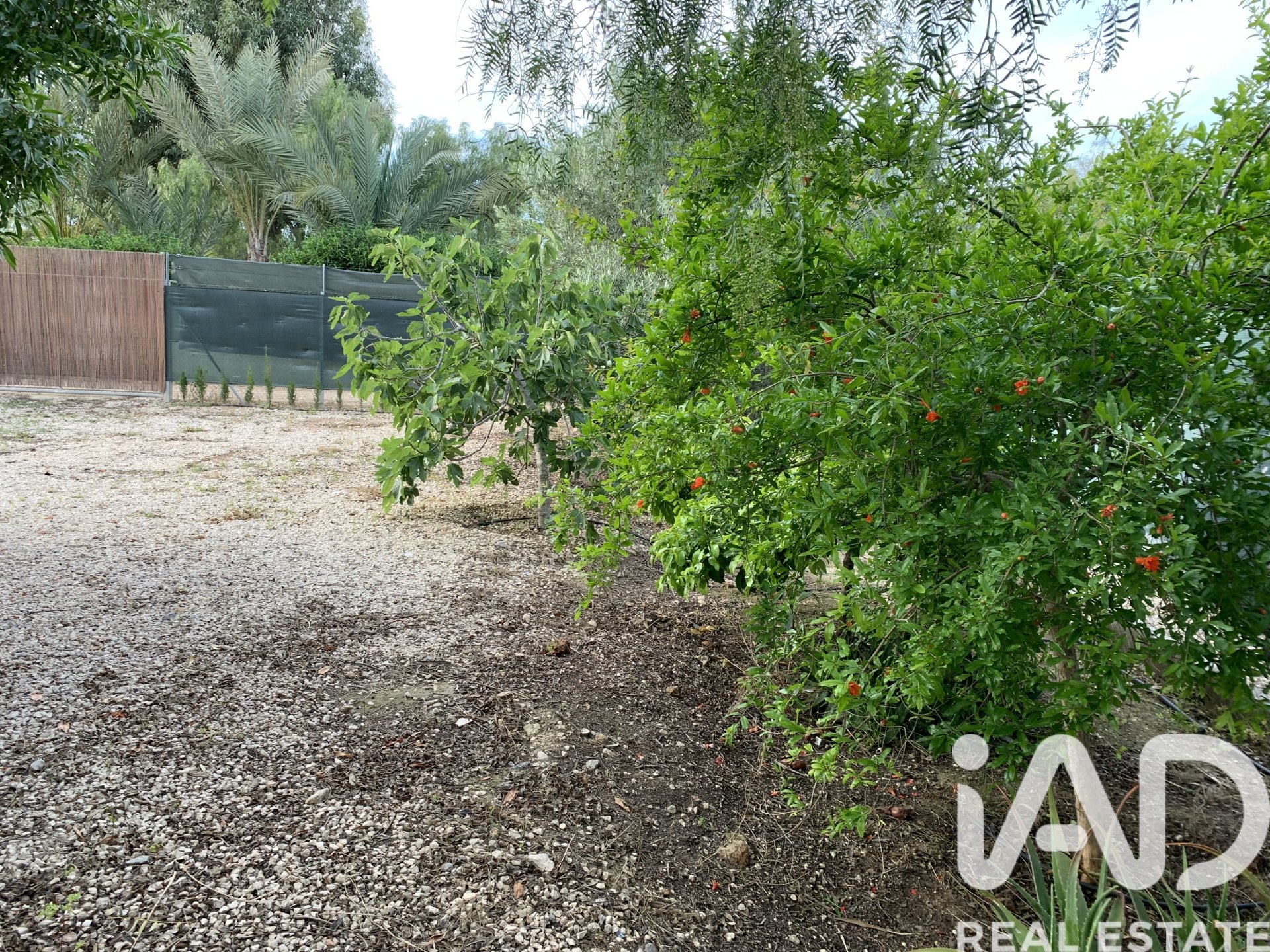 Land plot à Elche, Alicante, Espagne 750 m2 No. 184693