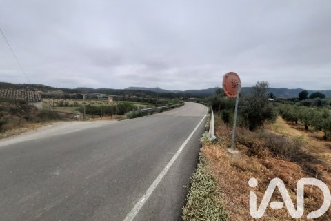 Продажа земельного участка в Риба-Рожа-де-Эбро, Таррагона, Испания 3000м2 №184695 - фото 5