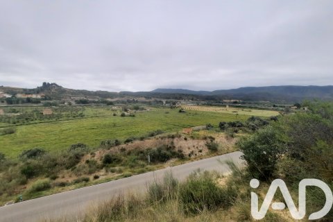 Продажа земельного участка в Риба-Рожа-де-Эбро, Таррагона, Испания 3000м2 №184695 - фото 9