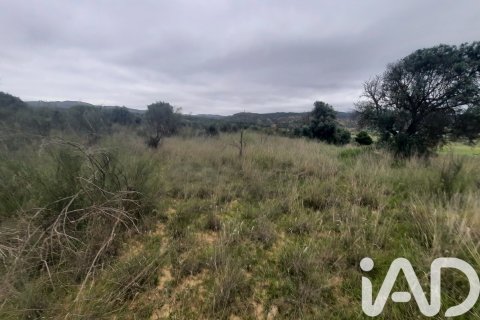 Продажа земельного участка в Риба-Рожа-де-Эбро, Таррагона, Испания 3000м2 №184695 - фото 3