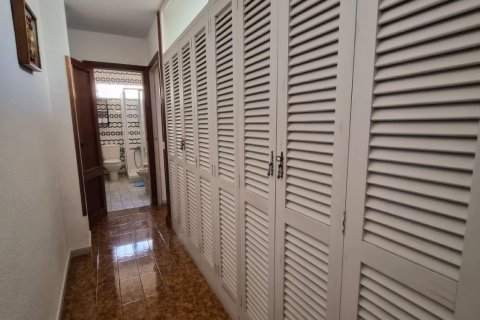 Продажа квартиры в Торревьеха, Аликанте, Испания 3 спальни, 100м2 №179422 - фото 11