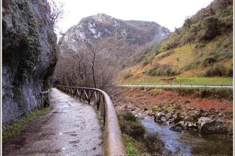 Villa for sale in Oviedo, Asturias, Spain 71 sq.m. No. 182958 - photo 14