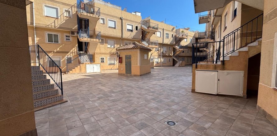 Apartment in Torrevieja, Alicante, Spain 78 sq.m. No. 182955