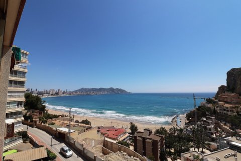 Apartment à vendre à Benidorm, Alicante, Espagne, 1 chambre, No. 183552 - photo 2