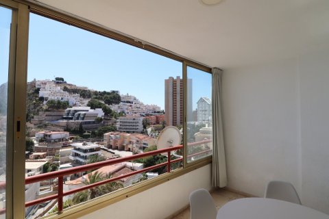 Apartment à vendre à Benidorm, Alicante, Espagne, 1 chambre, No. 183552 - photo 7