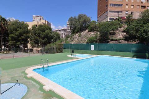 Apartment à vendre à Benidorm, Alicante, Espagne, 1 chambre, No. 183552 - photo 15