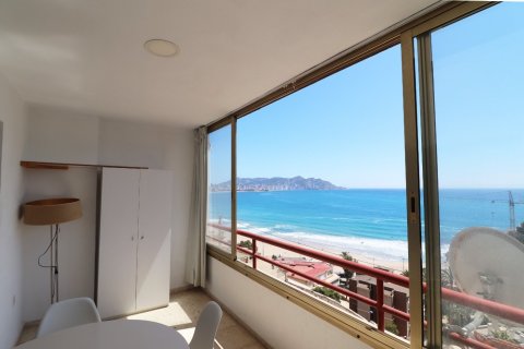 Apartment à vendre à Benidorm, Alicante, Espagne, 1 chambre, No. 183552 - photo 6