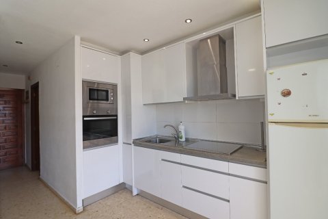 Apartment à vendre à Benidorm, Alicante, Espagne, 1 chambre, No. 183552 - photo 11