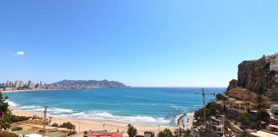 Apartment à Benidorm, Alicante, Espagne 1 chambre, No. 183552