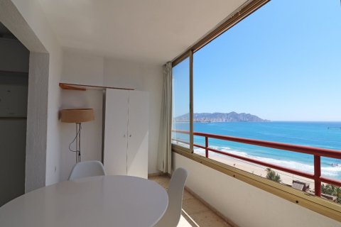 Apartment à vendre à Benidorm, Alicante, Espagne, 1 chambre, No. 183552 - photo 5