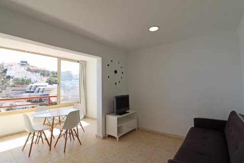 Apartment à vendre à Benidorm, Alicante, Espagne, 1 chambre, No. 183552 - photo 8