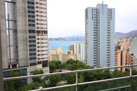 Dzīvoklis pārdošanā Benidorm, Alicante, Spānijā 3 istabas, Nr. 183548 - attēls 8