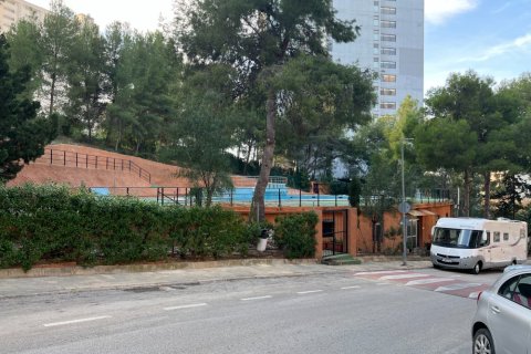 Dzīvoklis pārdošanā Benidorm, Alicante, Spānijā 3 istabas, Nr. 183548 - attēls 21