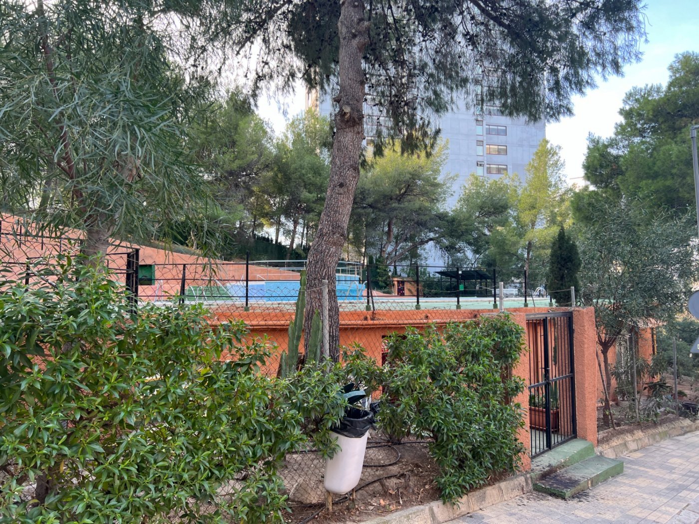 Apartment in Benidorm, Alicante, Spain 3 bedrooms,  No. 183548