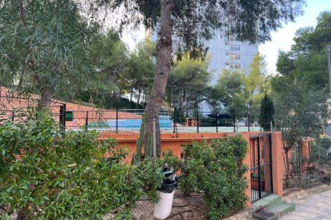 Dzīvoklis pārdošanā Benidorm, Alicante, Spānijā 3 istabas, Nr. 183548 - attēls 22