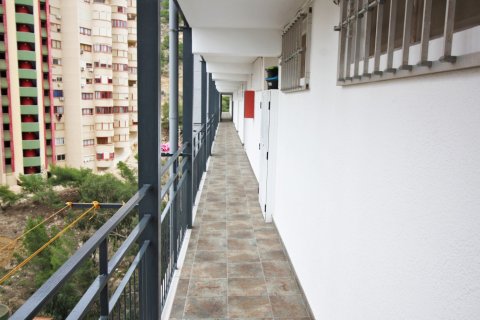 Dzīvoklis pārdošanā Benidorm, Alicante, Spānijā 3 istabas, Nr. 183548 - attēls 2