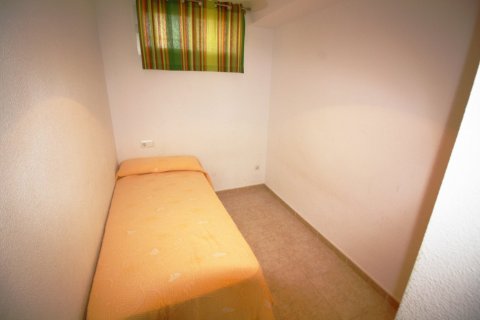 Dzīvoklis pārdošanā Benidorm, Alicante, Spānijā 3 istabas, Nr. 183548 - attēls 16