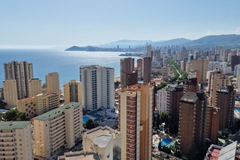 Apartment à Benidorm, Alicante, Espagne 2 chambres,  No. 183554