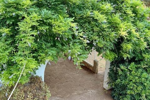 Villa in vendita a Gandia, Valencia, Spagna 4 camere da letto, 330 mq. N° 151190 - foto 11