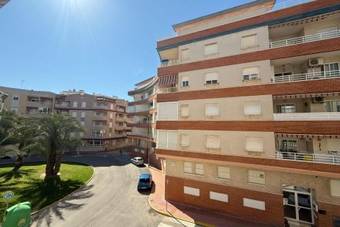 Apartment à vendre à Guardamar del Segura, Alicante, Espagne, 2 chambres, 74 m2 No. 183784 - photo 20