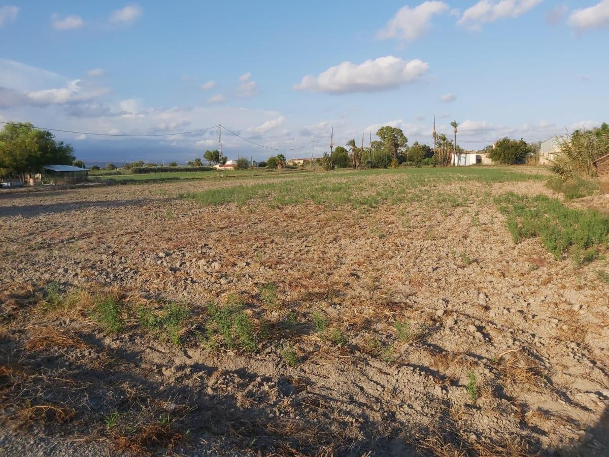 Land plot in Alicante, Spain No. 183853