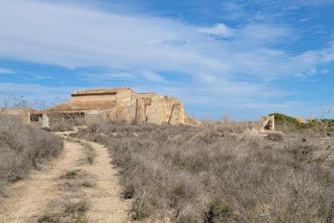 Finca for sale in Alicante, Spain 1 bedroom, 889 sq.m. No. 183854 - photo 7