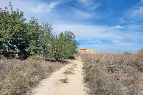 Finca for sale in Alicante, Spain 1 bedroom, 889 sq.m. No. 183854 - photo 5