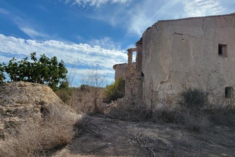 Finca for sale in Alicante, Spain 1 bedroom, 889 sq.m. No. 183854 - photo 10