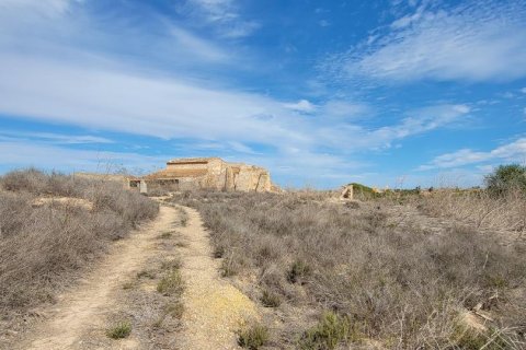 Finca for sale in Alicante, Spain 1 bedroom, 889 sq.m. No. 183854 - photo 6
