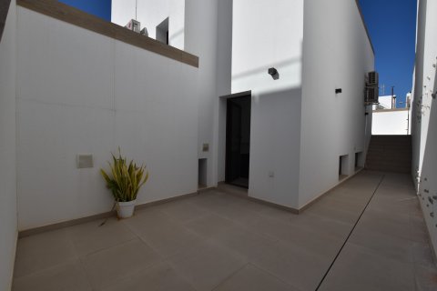 Villa à vendre Benijofar, Alicante, Espagne, 3 chambres, 175 m2 No. 139360 - photo 28