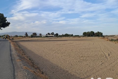 Land zum Verkauf in Lorca, Murcia, Spanien 5470 m2 Nr. 196593 - Foto 24