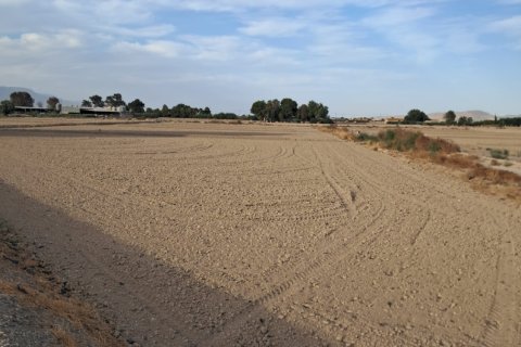 Land zum Verkauf in Lorca, Murcia, Spanien 5470 m2 Nr. 196593 - Foto 21