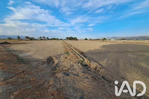 Land zum Verkauf in Lorca, Murcia, Spanien 5470 m2 Nr. 196593 - Foto 7