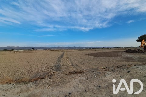 Land zum Verkauf in Lorca, Murcia, Spanien 5470 m2 Nr. 196593 - Foto 3
