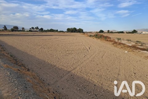Land zum Verkauf in Lorca, Murcia, Spanien 5470 m2 Nr. 196593 - Foto 14