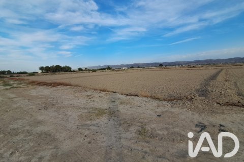 Land zum Verkauf in Lorca, Murcia, Spanien 5470 m2 Nr. 196594 - Foto 9