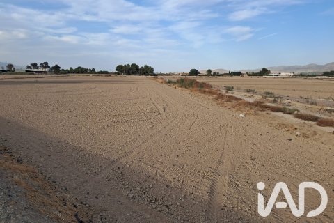 Land zum Verkauf in Lorca, Murcia, Spanien 5470 m2 Nr. 196594 - Foto 2