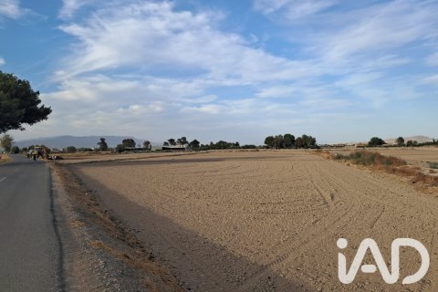 Land zum Verkauf in Lorca, Murcia, Spanien 5470 m2 Nr. 196594 - Foto 24